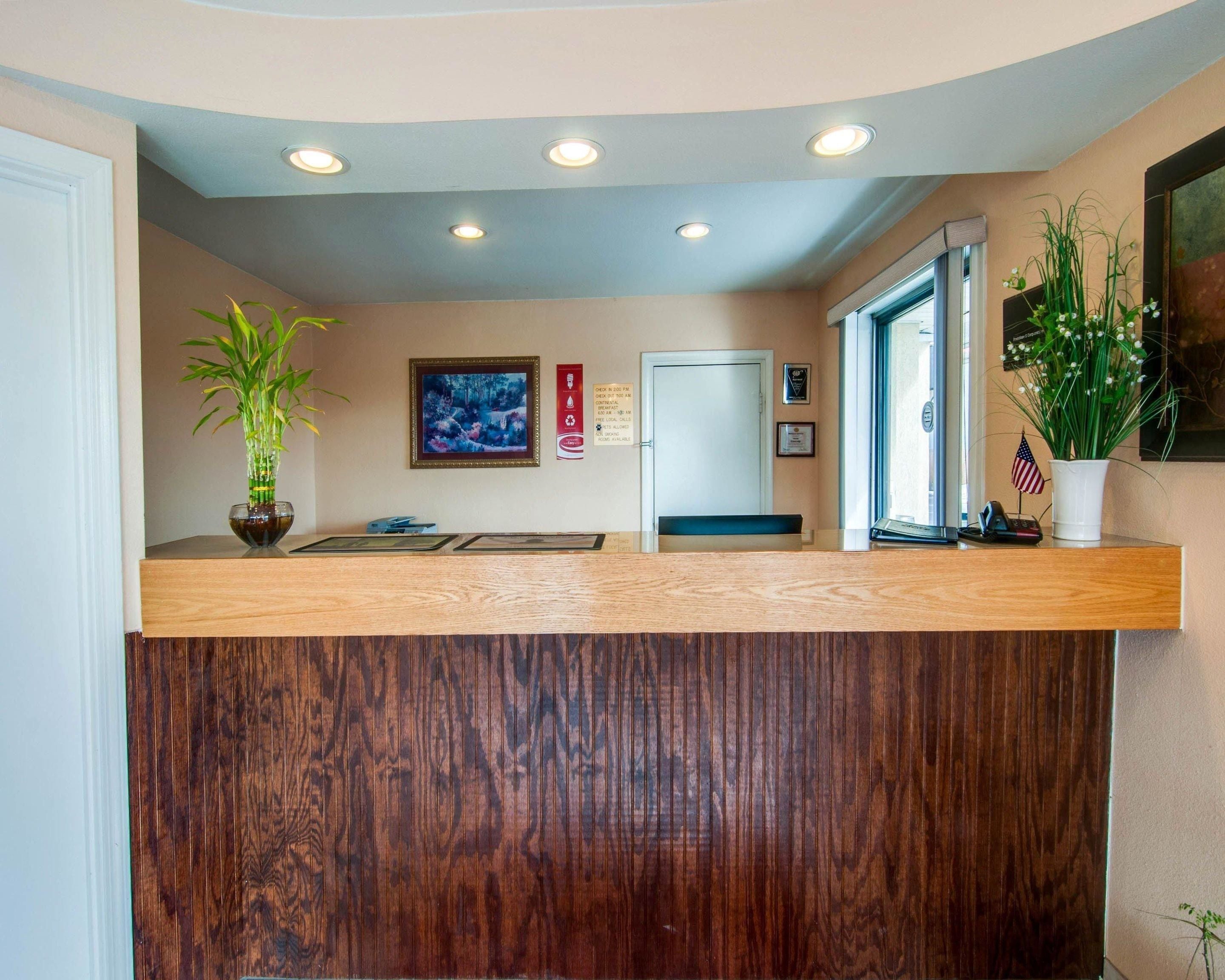 A reception desk with a wooden counter, a potted plant, and a framed picture on the wall.
