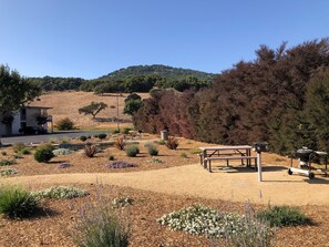 BBQ/picnic area - Days Inn by Wyndham Novato/San Francisco (Novato)