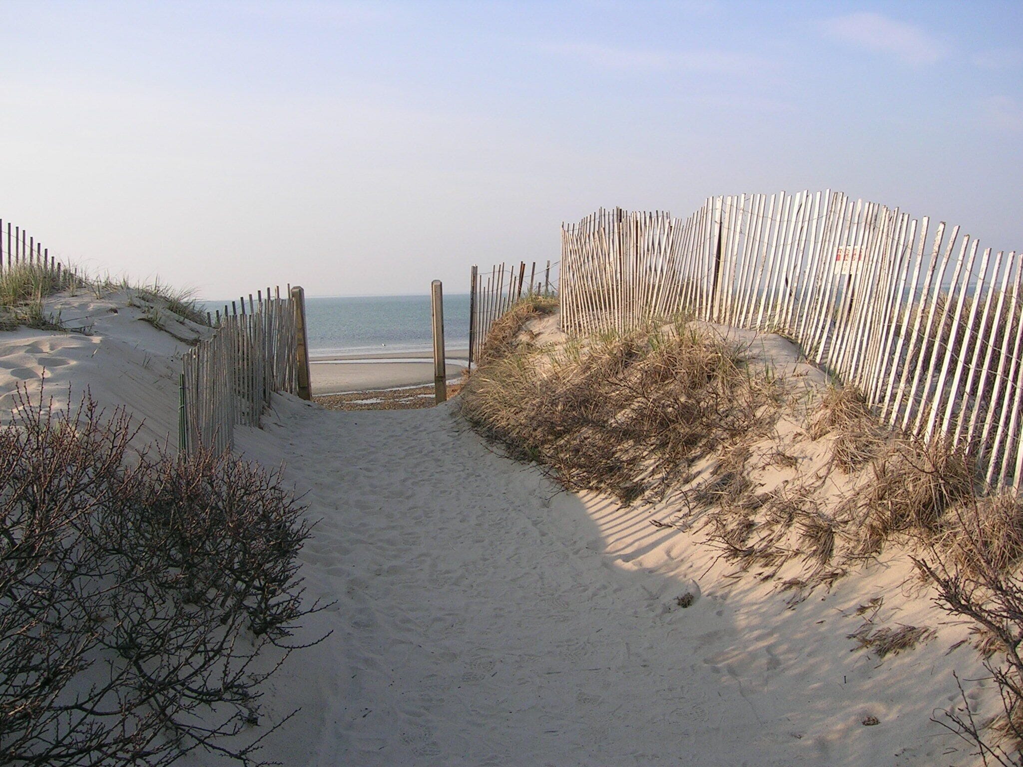 A sandy beach path leading to the sea, flanked by wooden fences.