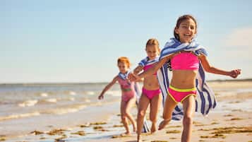Plage privée, chaises longues, parasols, serviettes de plage