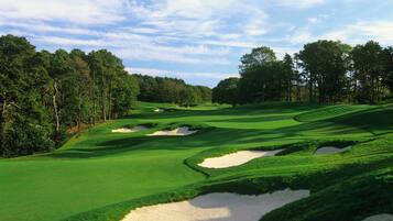 Enjoy a serene round of golf amidst lush green fairways and dense trees.