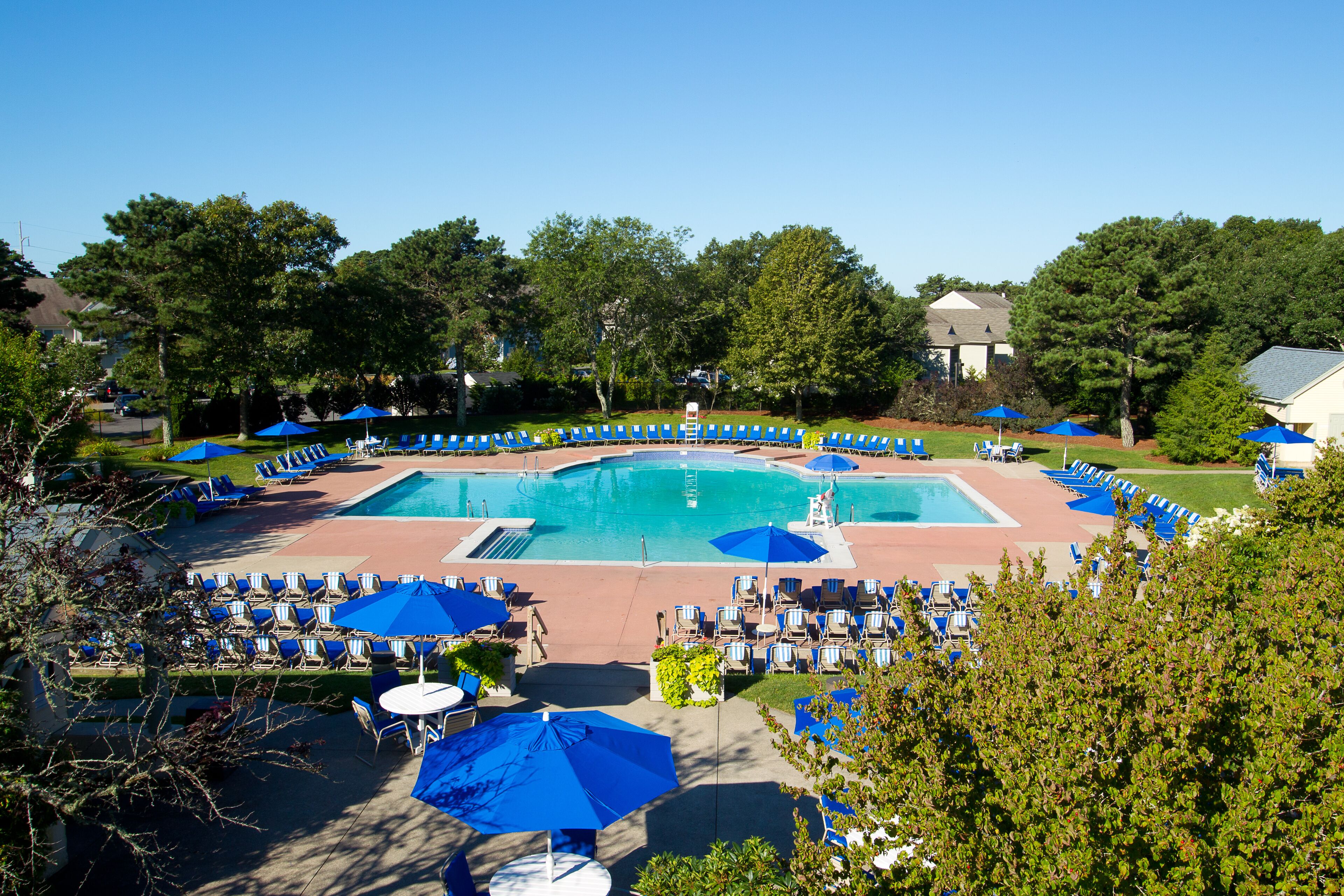 A pool area with multiple lounge chairs and umbrellas, surrounded by trees and a building in the background.