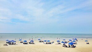 A beach with numerous blue umbrellas and lounge chairs. - The Mansion at Ocean Edge (Brewster)