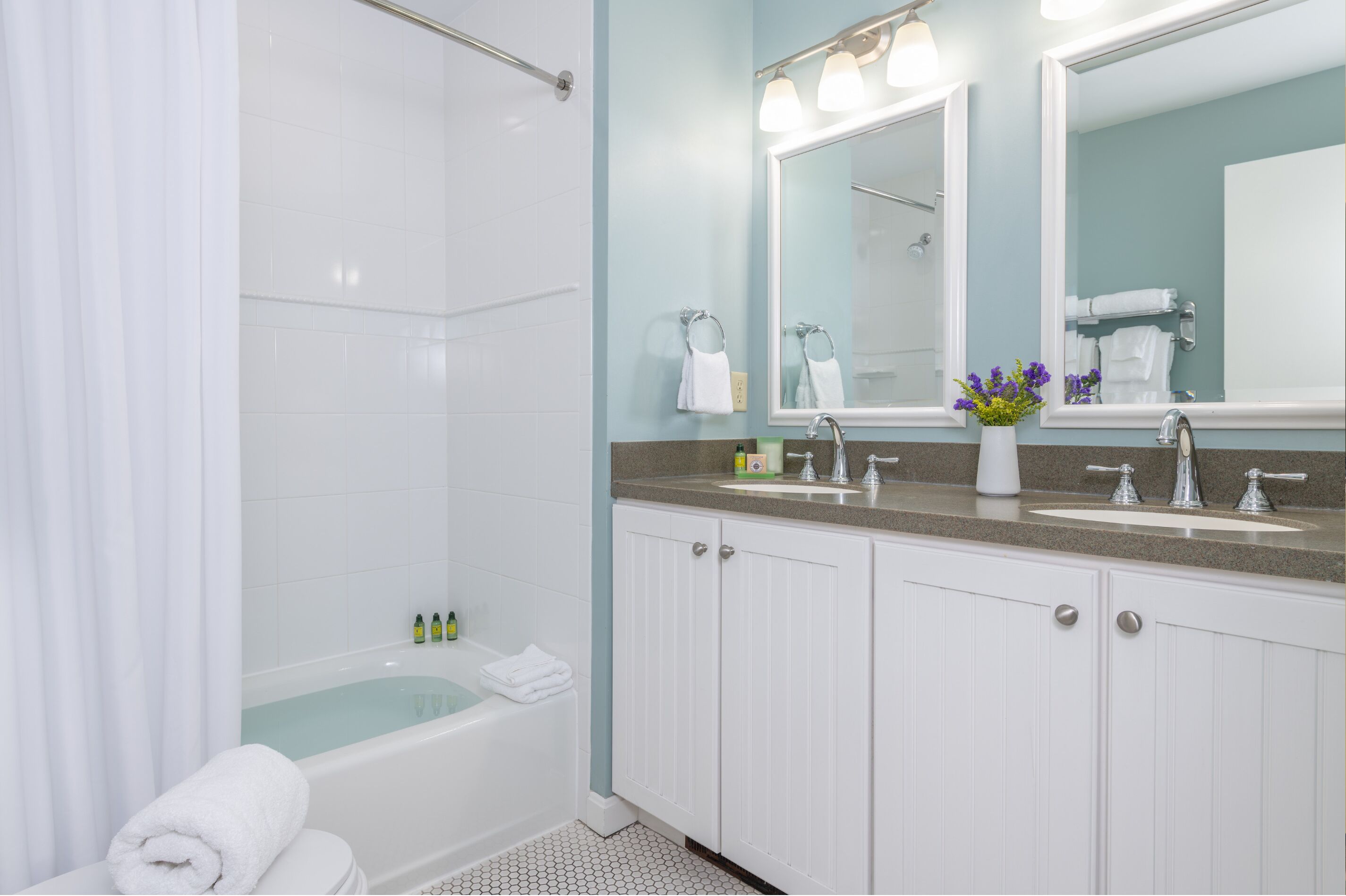 A modern bathroom with a bathtub, a shower, and a vanity with a sink and mirror.