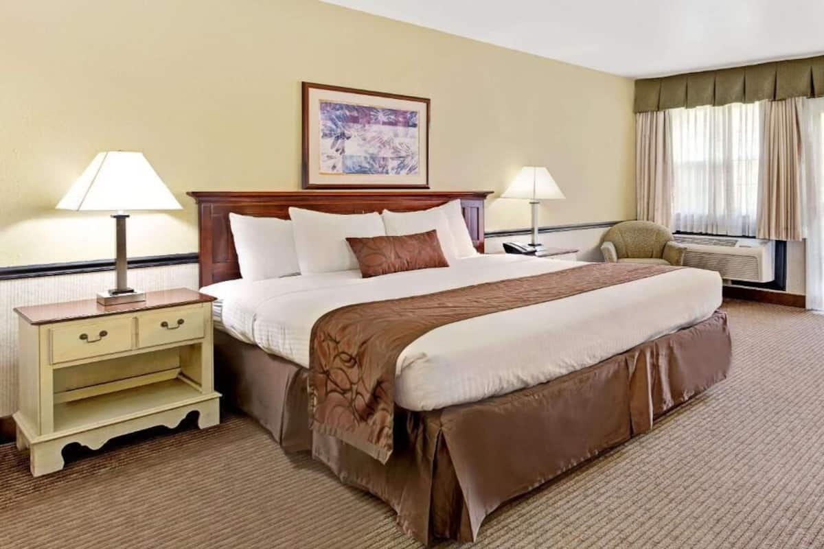 A hotel room with a large bed, two bedside tables, a chair, a window with curtains, and a framed picture on the wall.