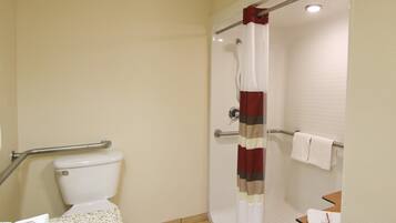 Ein Badezimmer mit Toilette, einer Dusche mit Haltegriff und einem Waschbecken.