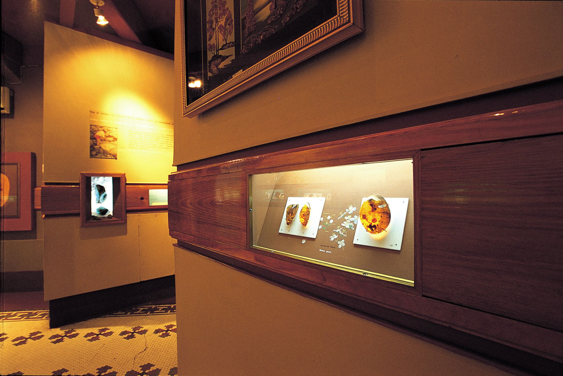A hallway with framed pictures on the walls, a wooden cabinet, and a patterned carpet.