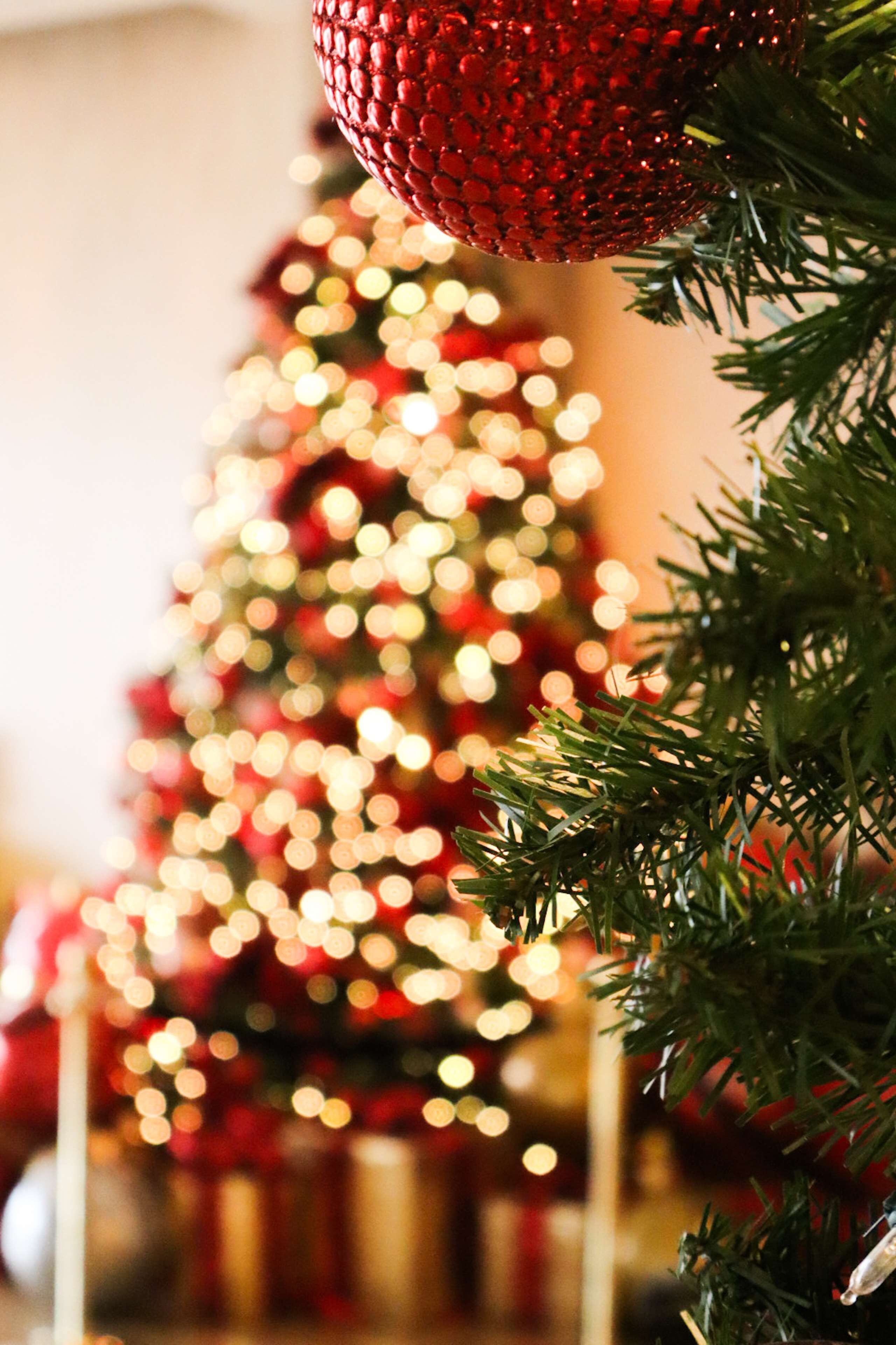 A close-up of a Christmas tree with a red ornament and blurred lights in the background.
