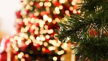 A close-up of a Christmas tree with a red ornament and blurred lights in the background.