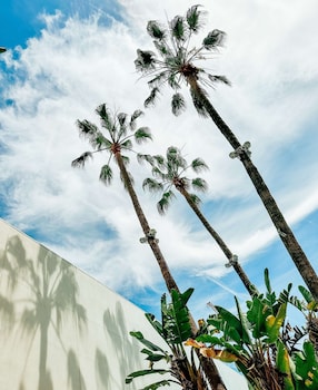 Hotel Exterior at The Beverly Hilton