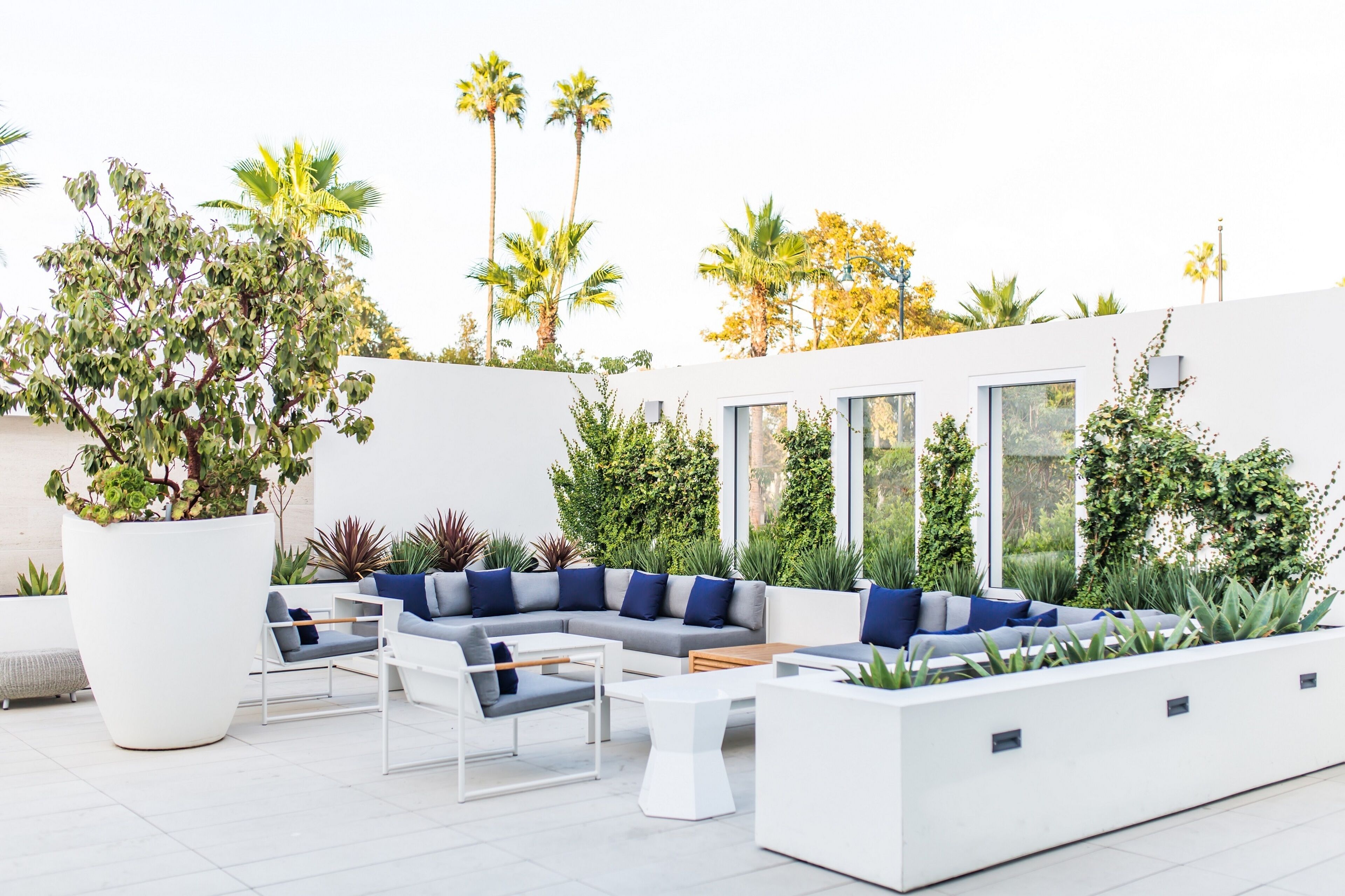 A modern outdoor seating area with white furniture, large potted plants, and a view of the sky.