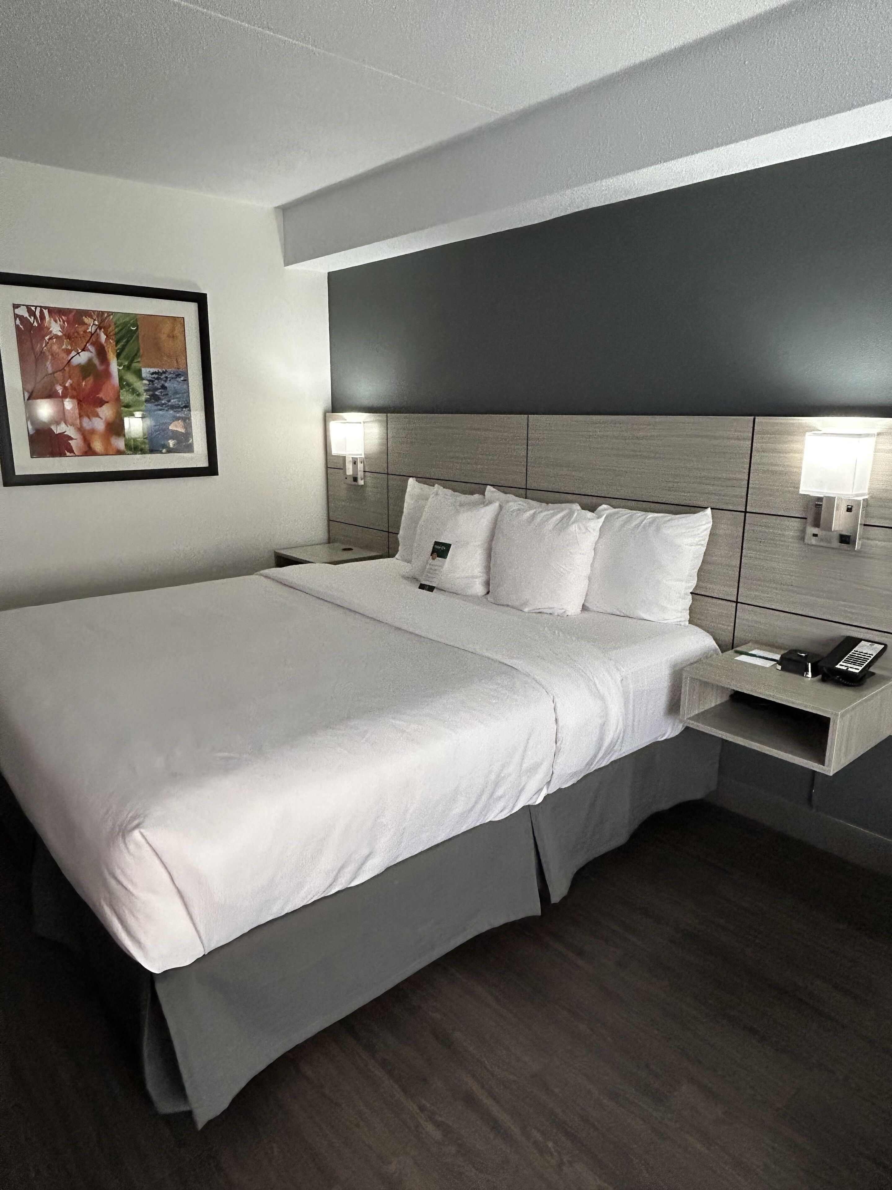 A modern hotel room with a large bed, a nightstand with a phone, and a wall-mounted light fixture.
