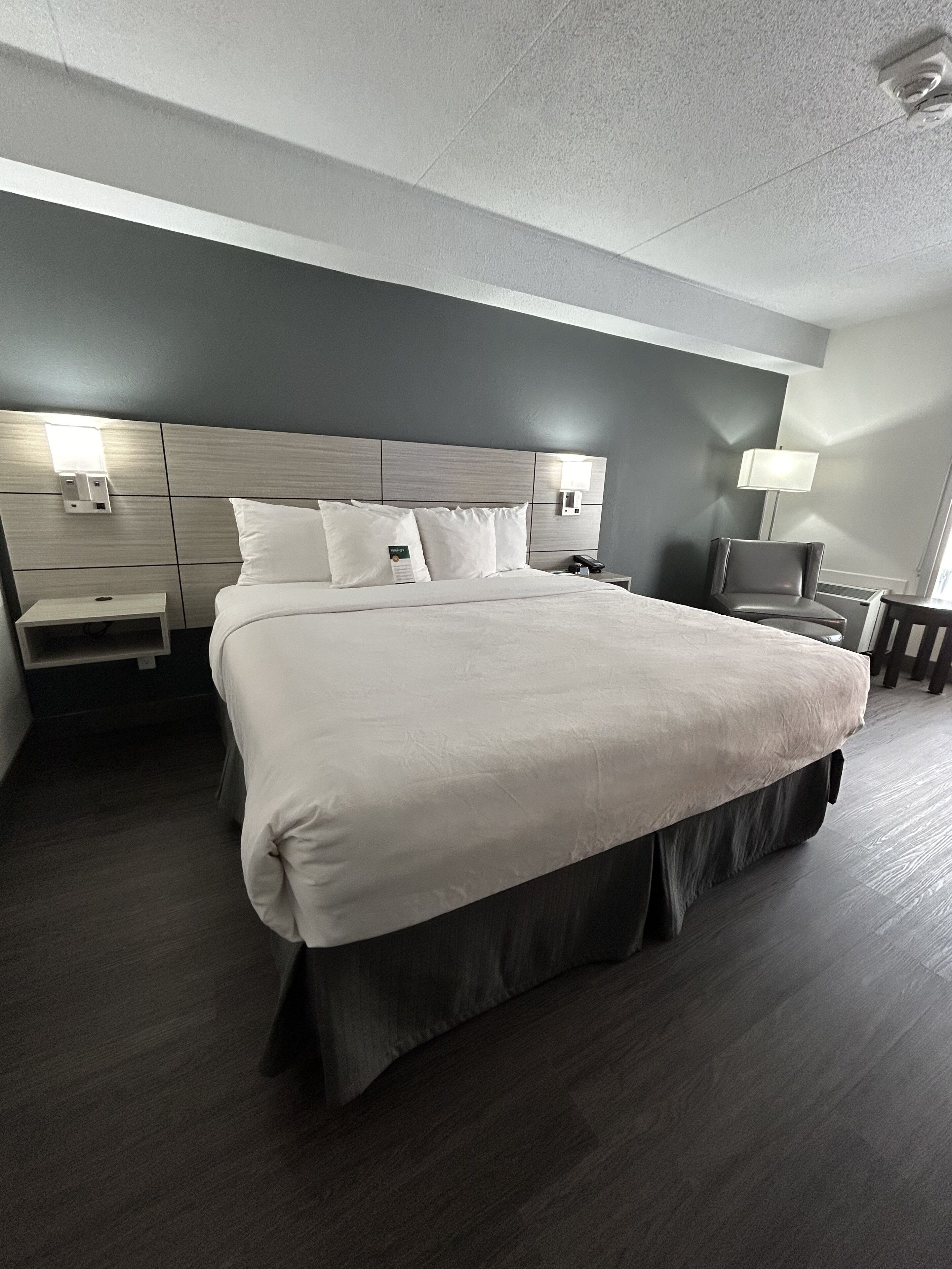 商務客房, 1 張特大雙人床, 非吸煙房 | 書桌、遮光窗簾/窗簾、熨斗/熨衫板、床單