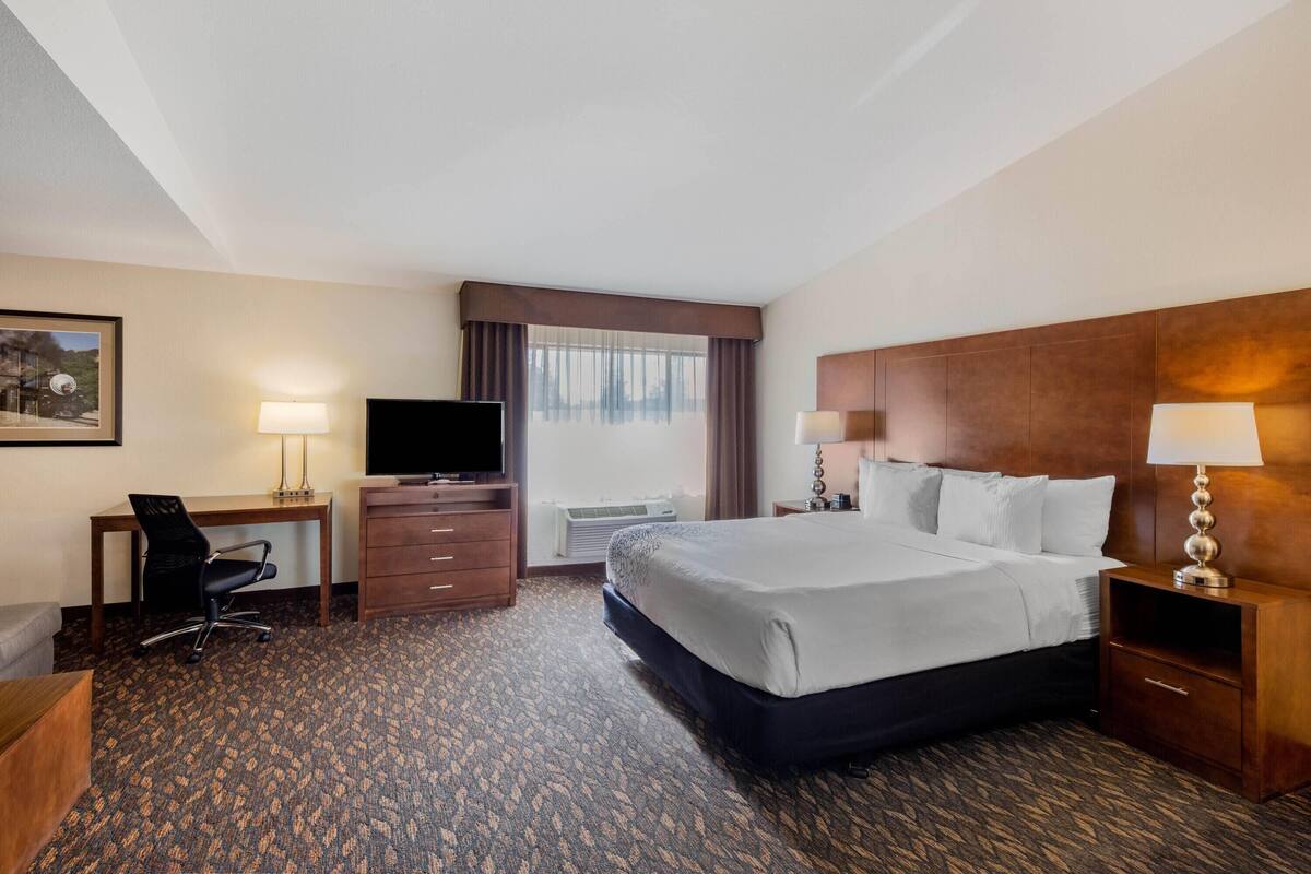 Een hotelkamer met een bed, bureau, stoel, televisie en lampen.