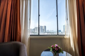 Habitación Premier | Vista desde la habitación