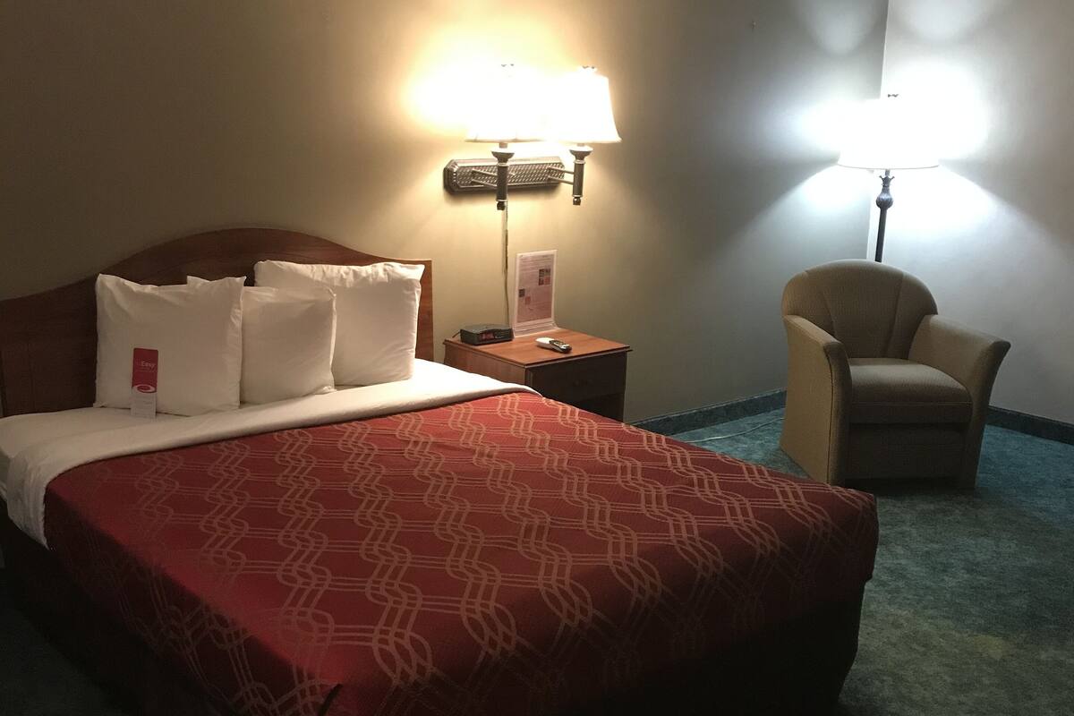 Habitación de hotel con una cama grande, una mesita de noche con lámpara, una silla y piso alfombrado.