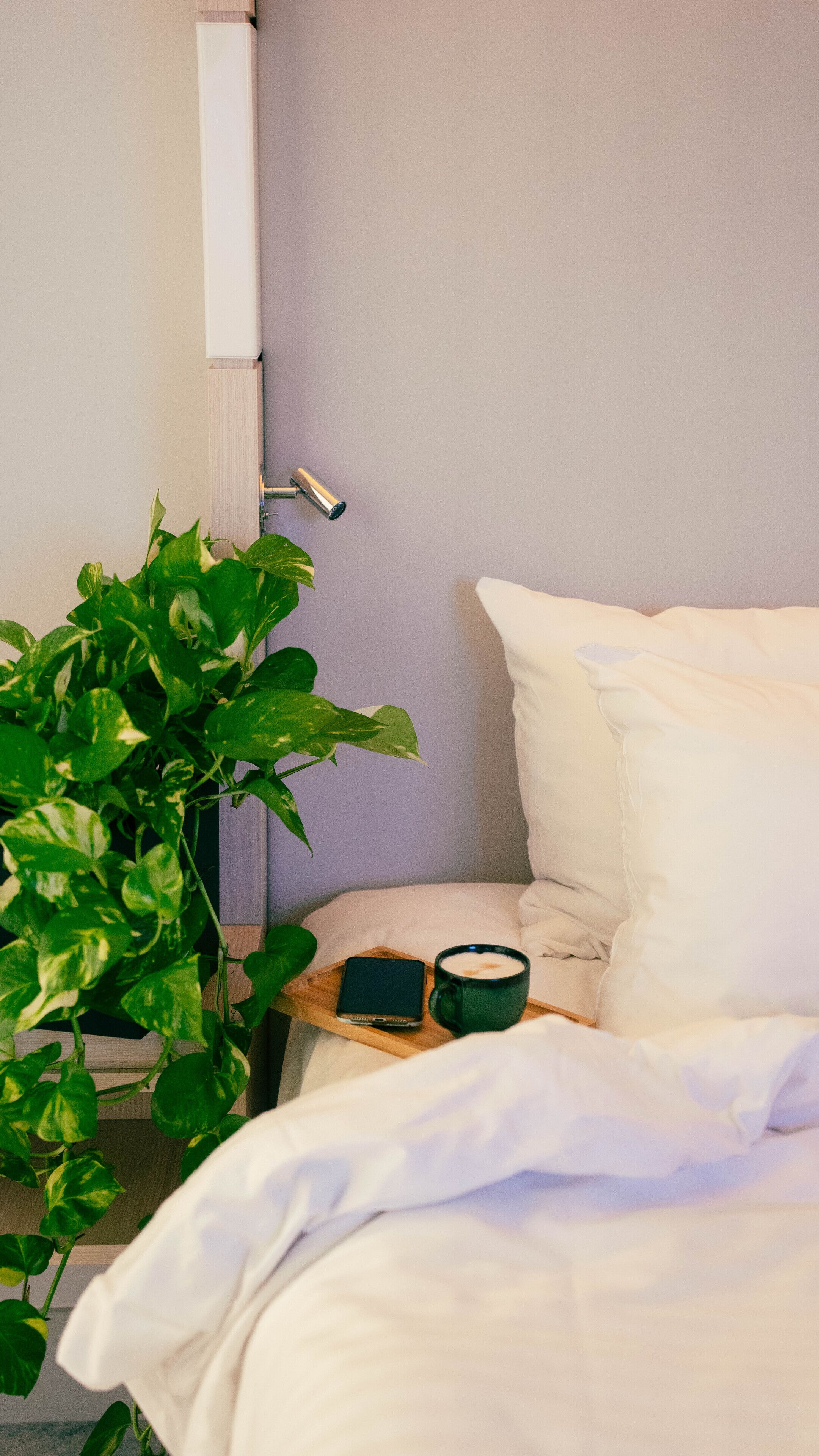 A bed with white bedding, a green plant, a smartphone, and a cup of coffee on a tray.
