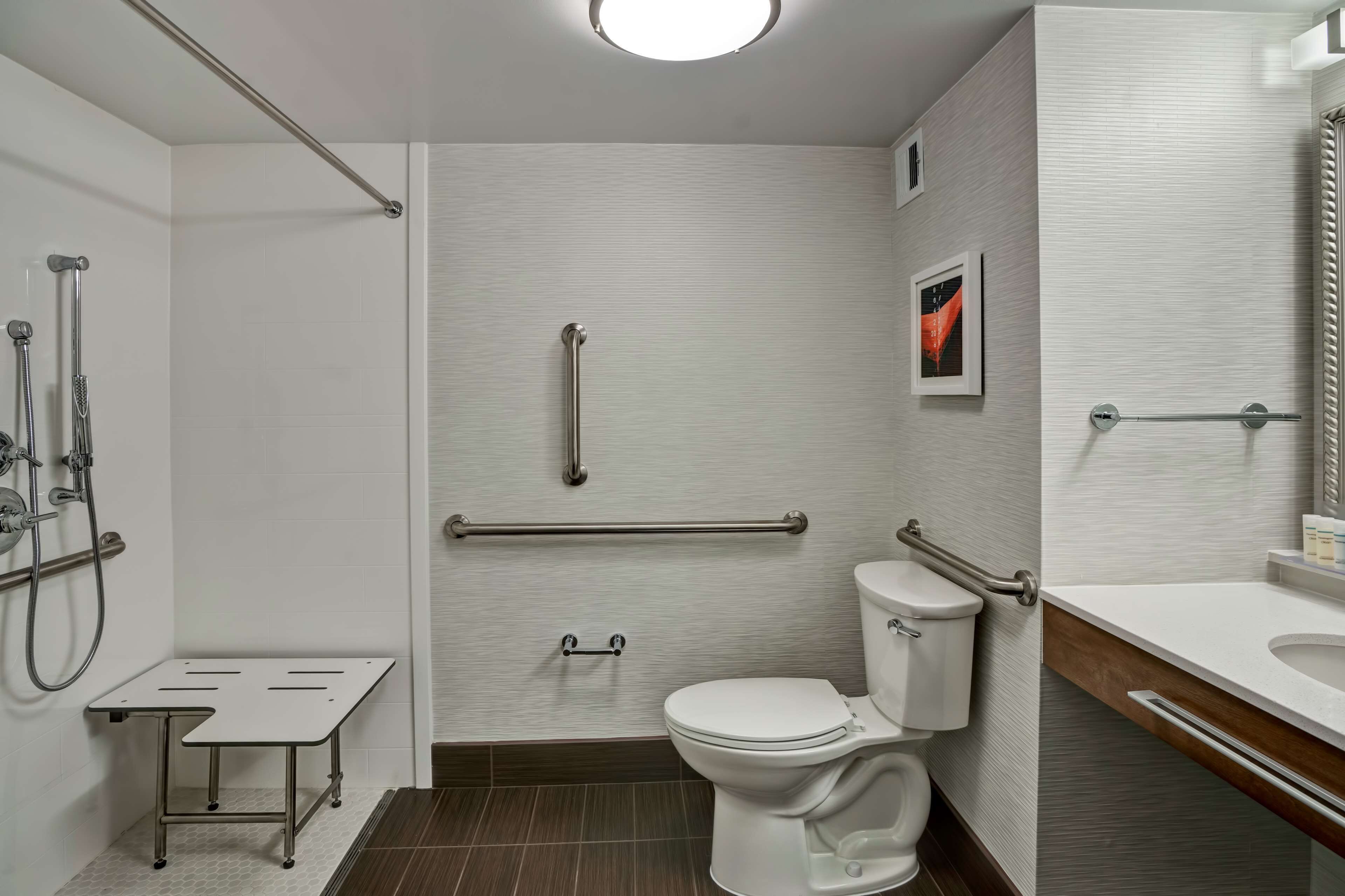 room, 1 double bed, accessible, non smoking (roll-in shower, fridge & microwave) | bathroom | free toiletries, hair dryer, towels