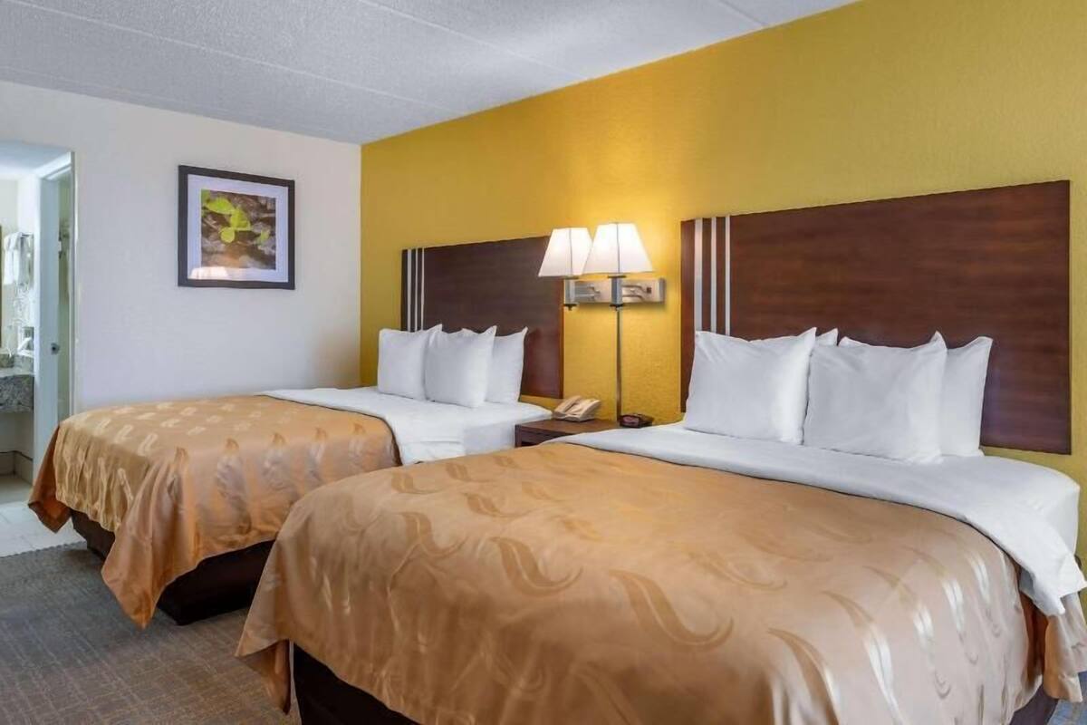 Egyptian cotton sheets, premium bedding, down comforters, desk