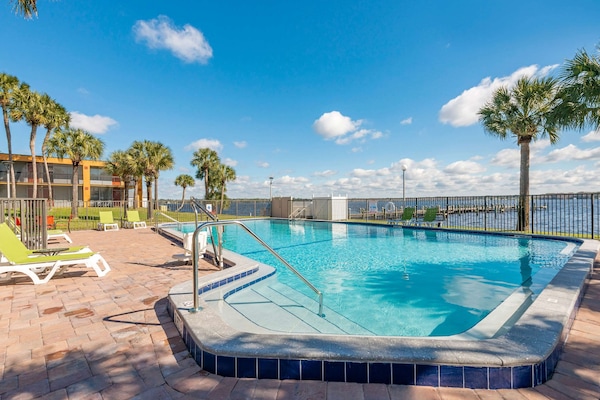Outdoor pool, pool loungers
