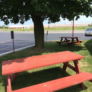 BBQ/picnic area