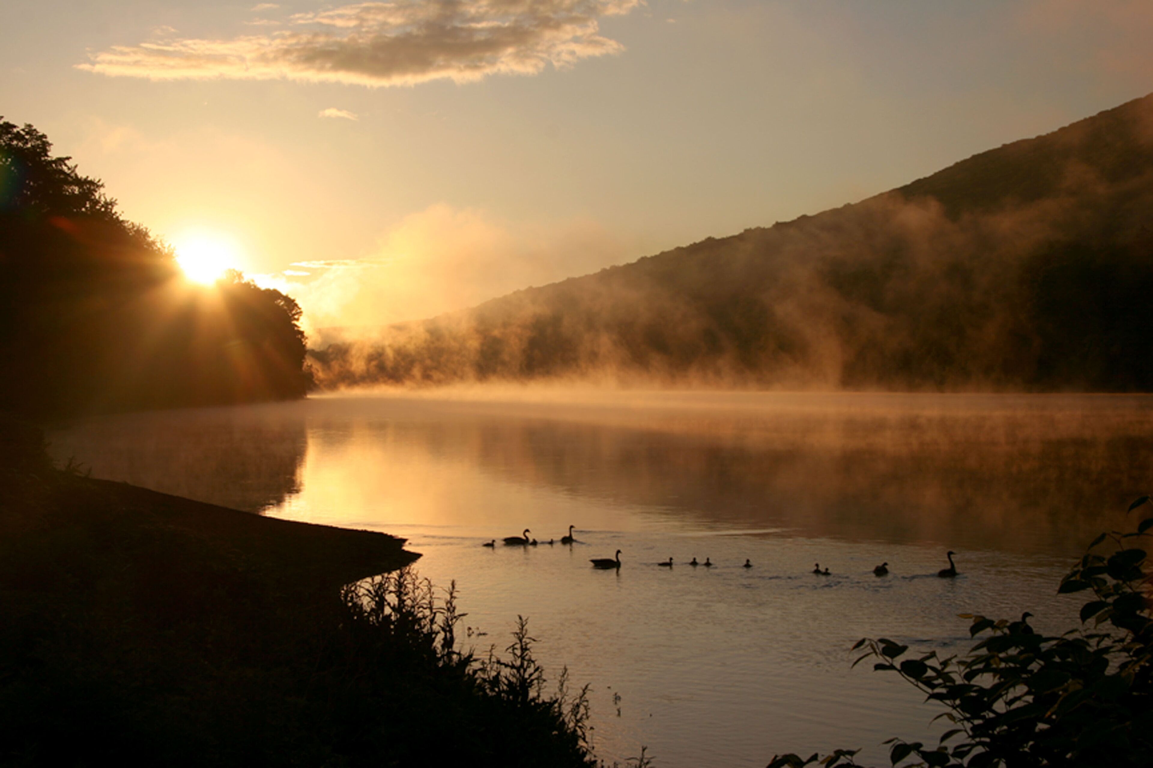 Un lac paisible au lever du soleil, avec un léger brouillard flottant sur l’eau et une colline boisée en arrière-plan.