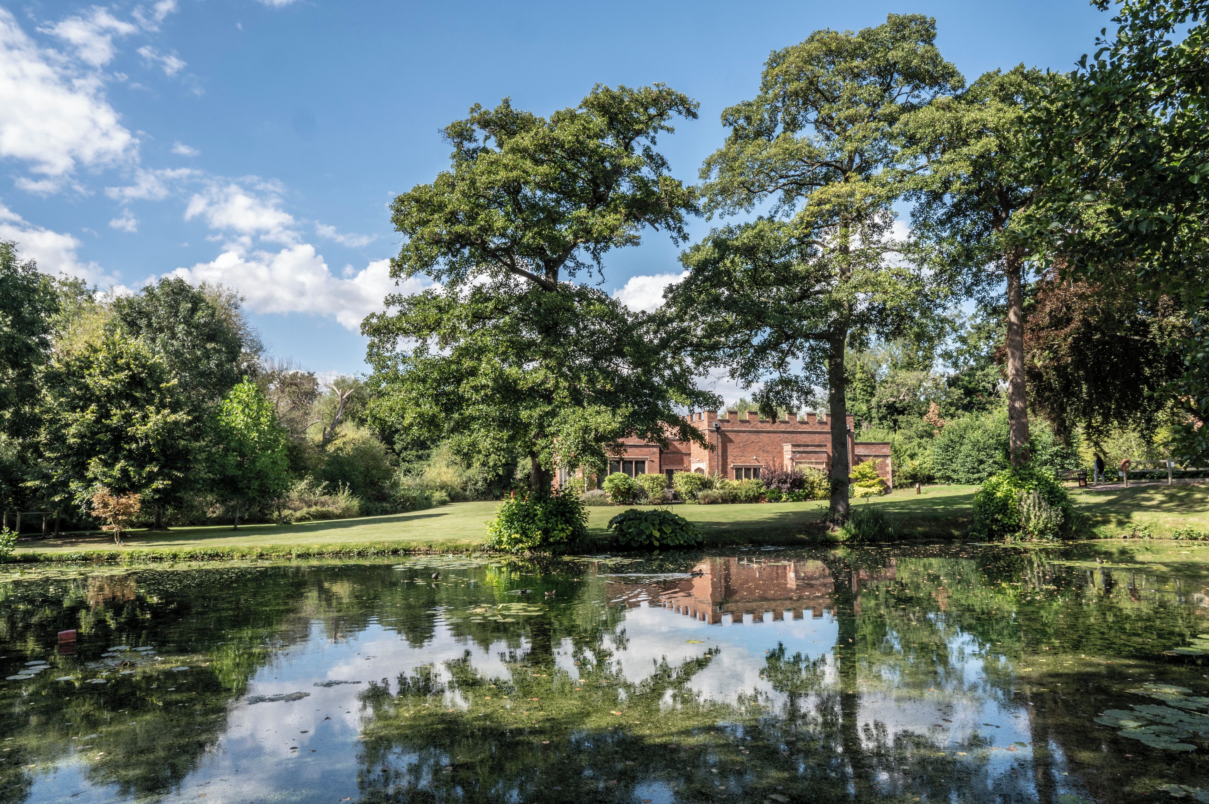 A house with a pond in front, surrounded by trees and a clear sky.