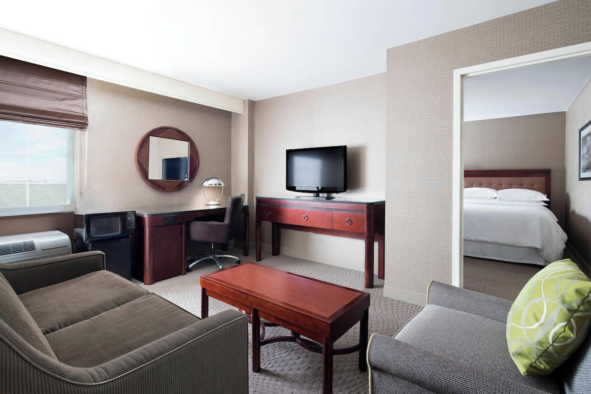 A hotel room with a bed, a desk with a television, a sofa, and a chair.