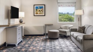 Une chambre d’hôtel équipée d’une télévision, d’un tableau encadré, d’un canapé, d’un pouf, d’une lampe et d’une fenêtre donnant sur un paysage.