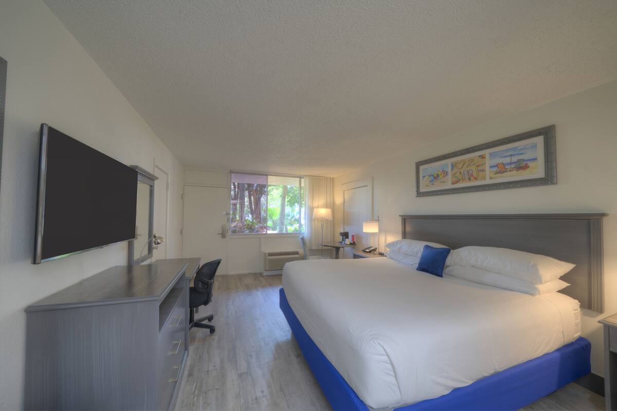 A hotel room with a large bed, a desk, a flat-screen TV, a window with a view of trees, and a framed picture on the wall.