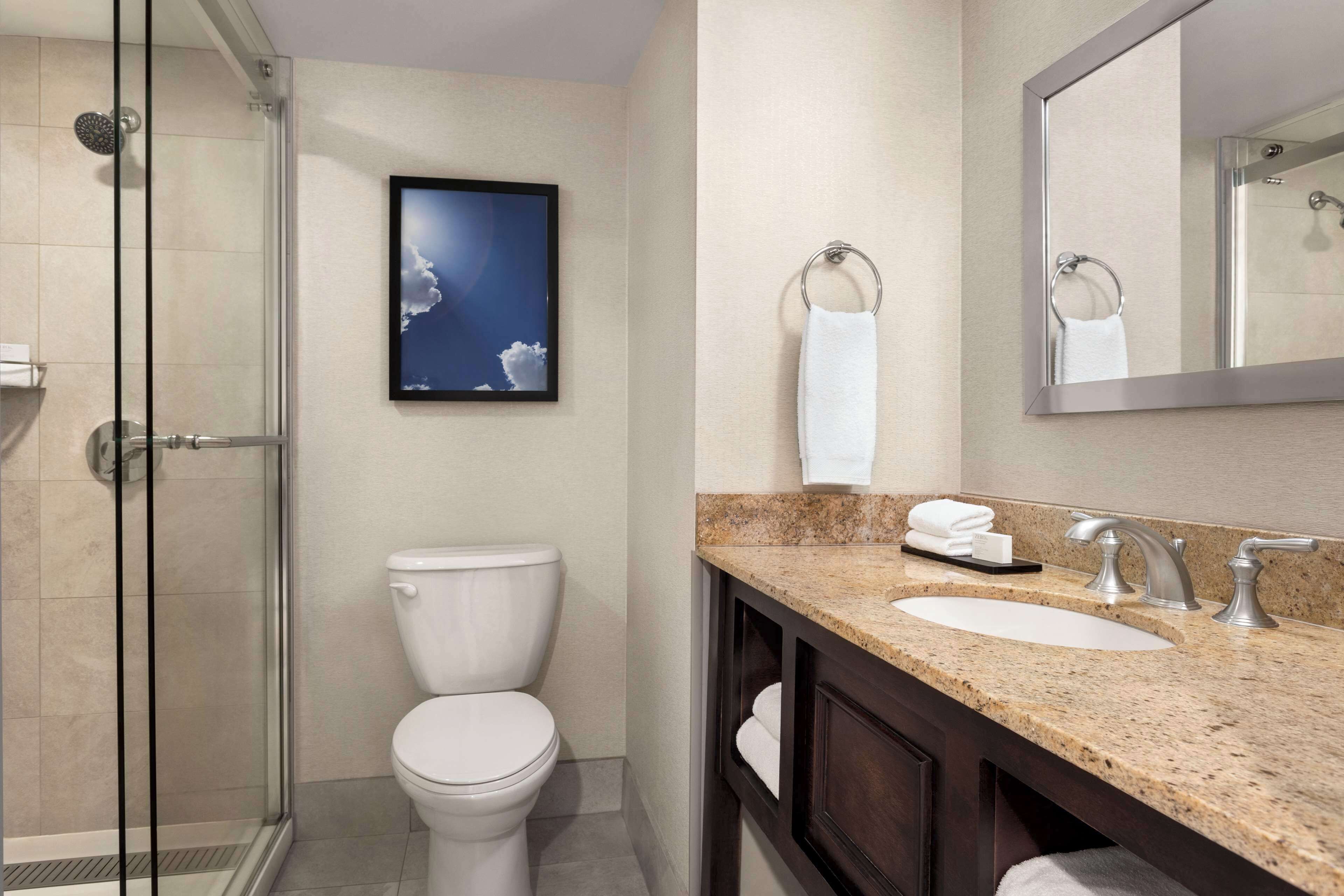 A bathroom with a glass shower enclosure, a toilet, a sink with a granite countertop, and a large mirror.