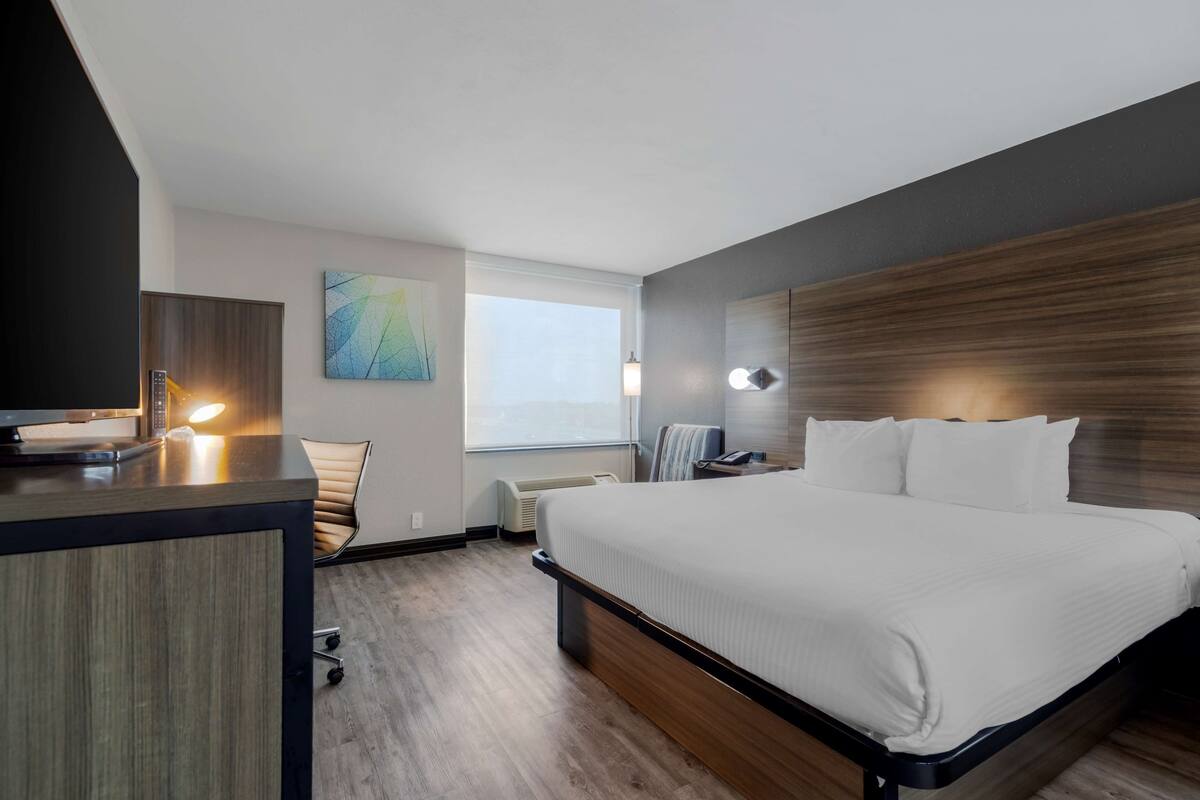 standard room, 1 king bed, non smoking, refrigerator & microwave | down duvets, desk, laptop workspace, blackout curtains