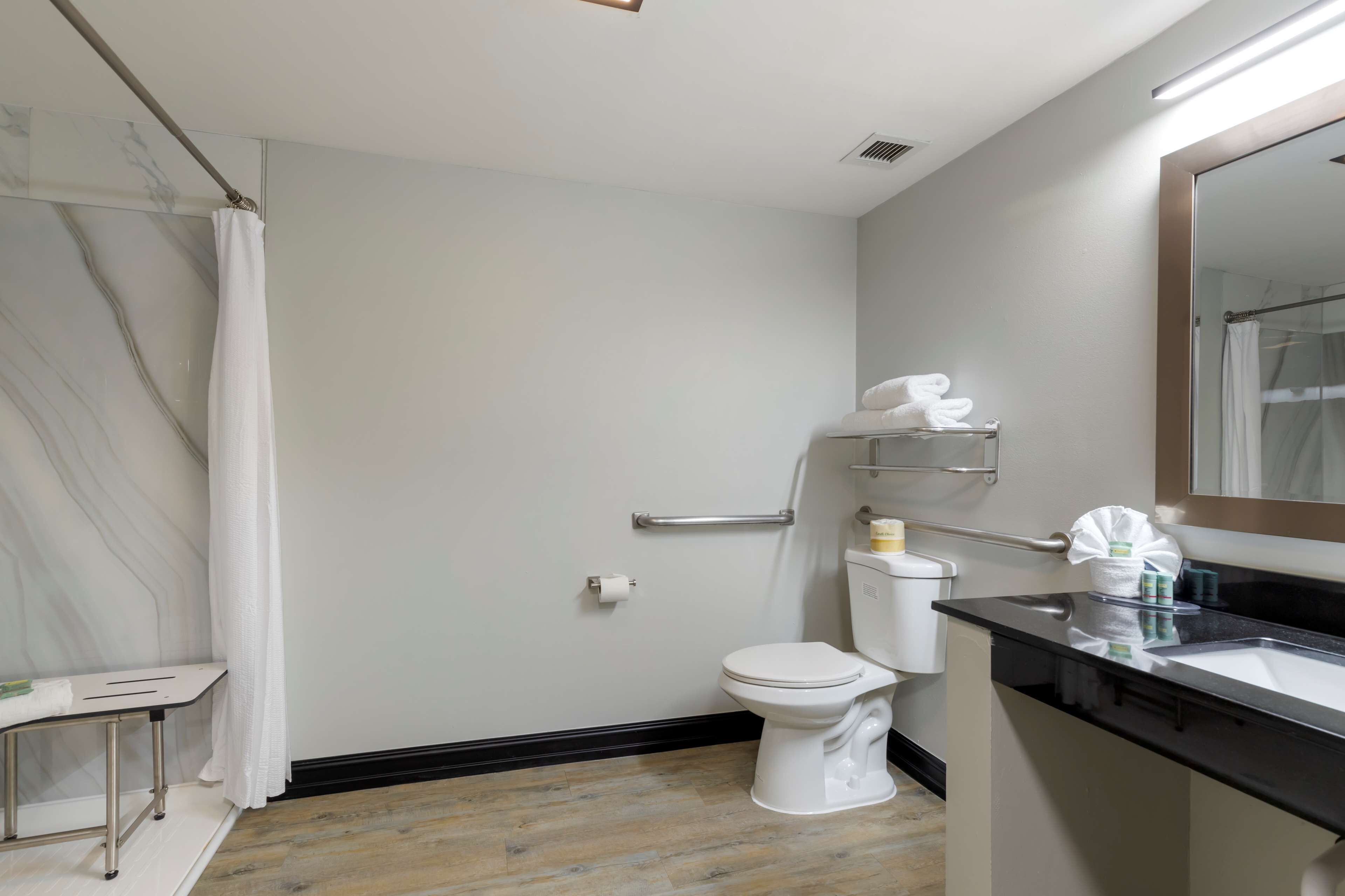 standard room, 1 king bed, accessible, refrigerator & microwave (refrigerator & microwave) | bathroom | combined shower/bathtub, eco-friendly toiletries, hair dryer, towels