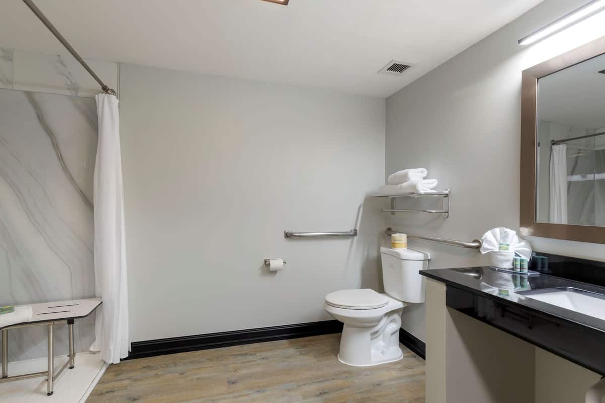 standard room, 1 king bed, accessible, refrigerator & microwave (refrigerator & microwave) | bathroom | combined shower/bathtub, eco-friendly toiletries, hair dryer, towels