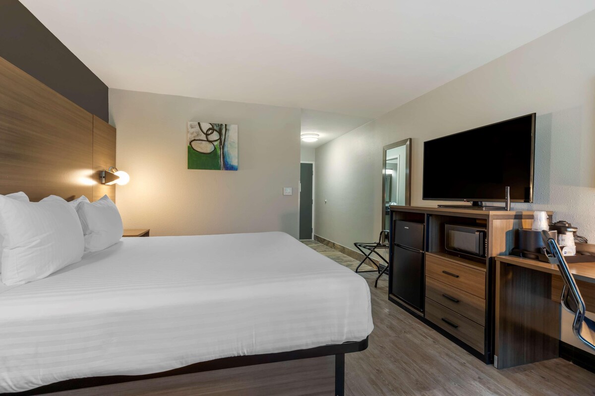 A hotel room with a bed, a TV, a microwave, and a coffee maker.