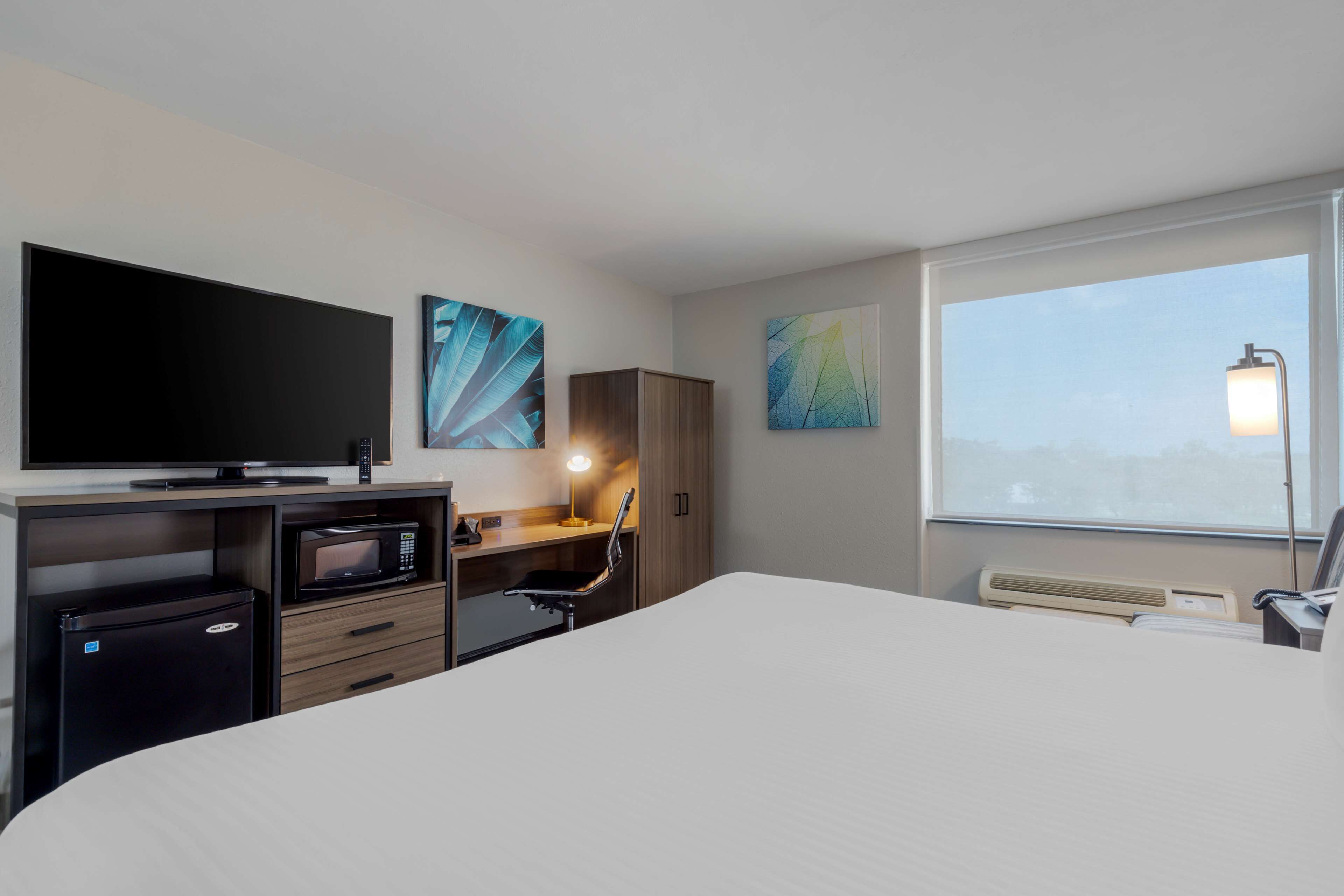 Standard Room, 1 King Bed, Non Smoking, Refrigerator & Microwave | Down comforters, desk, laptop workspace, blackout drapes