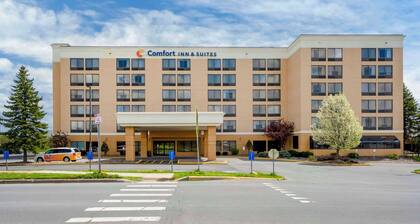 Comfort Inn & Suites Watertown - 1000 Islands