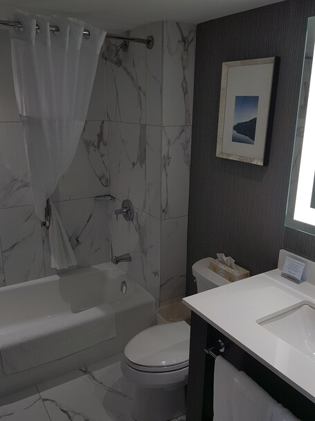 Embassy Suites by Hilton Toronto Airport - Image 25