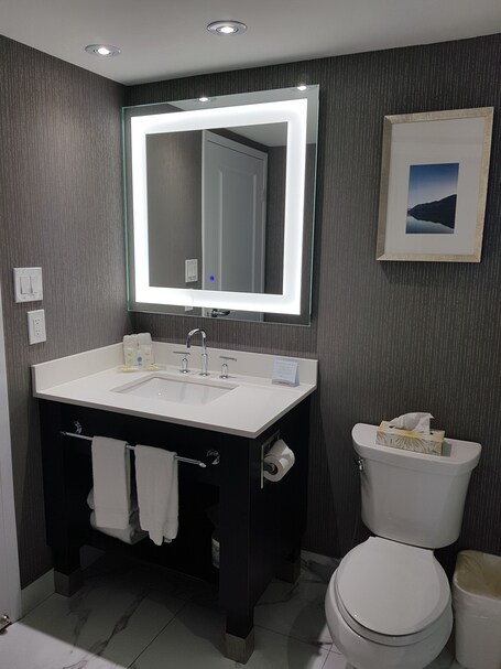 Embassy Suites by Hilton Toronto Airport - Image 57