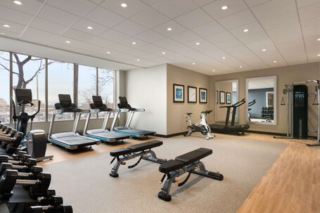 Embassy Suites by Hilton Toronto Airport - Image 11