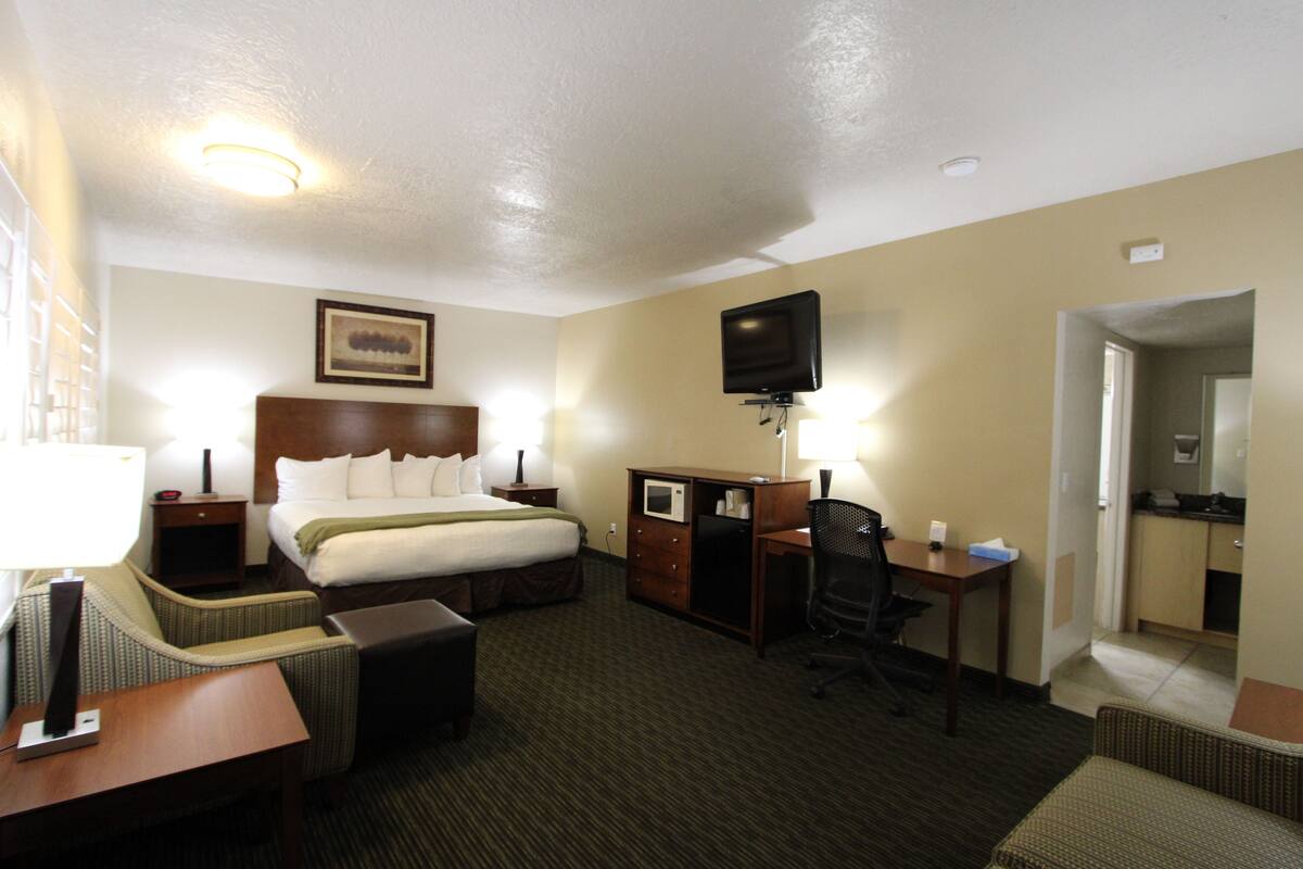 A hotel room with a bed, desk, chair, television, and a microwave.