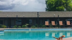 Une piscine avec un jouet dinosaure sur le bord, des chaises longues et, au fond, un bâtiment avec un toit recouvert de tuiles.