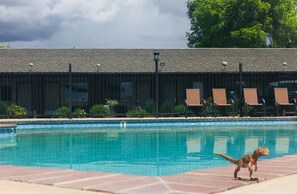 Seasonal outdoor pool