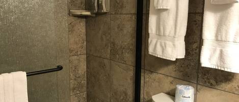 A bathroom with a shower, toilet, and hand dryer.