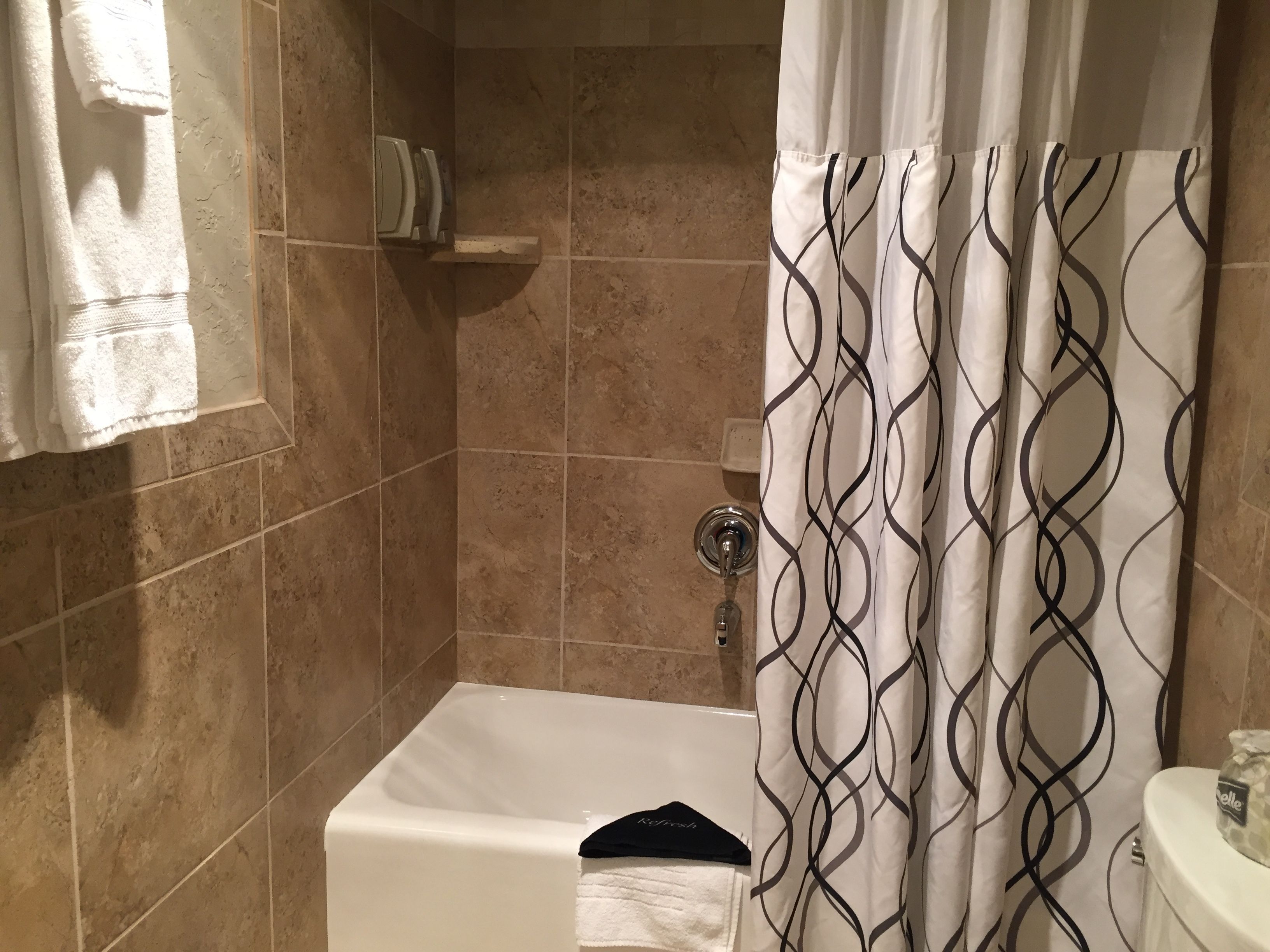 eco-friendly toiletries, hair dryer, towels, soap