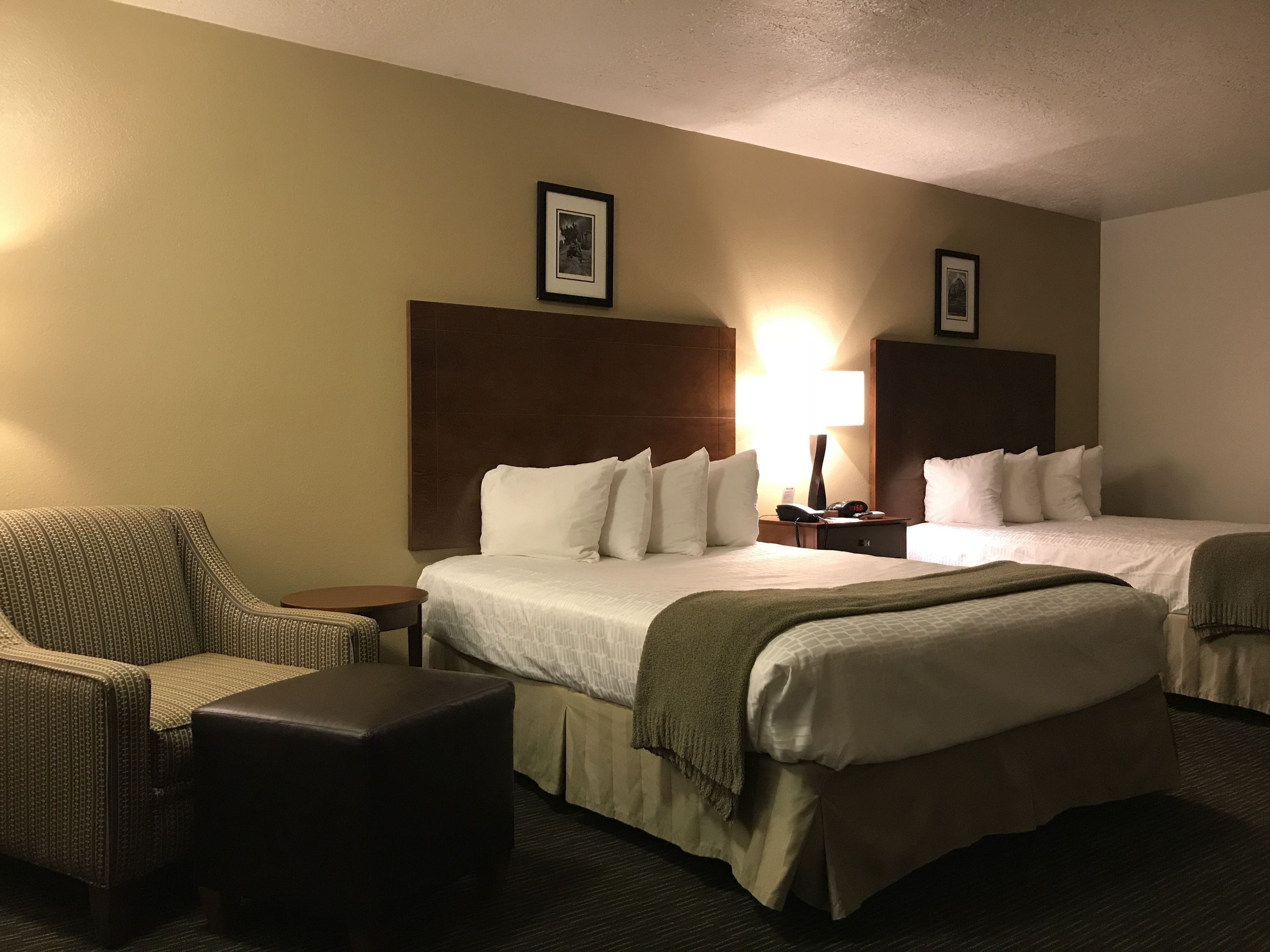 hypo-allergenic bedding, iron/ironing board, travel cot, free wifi