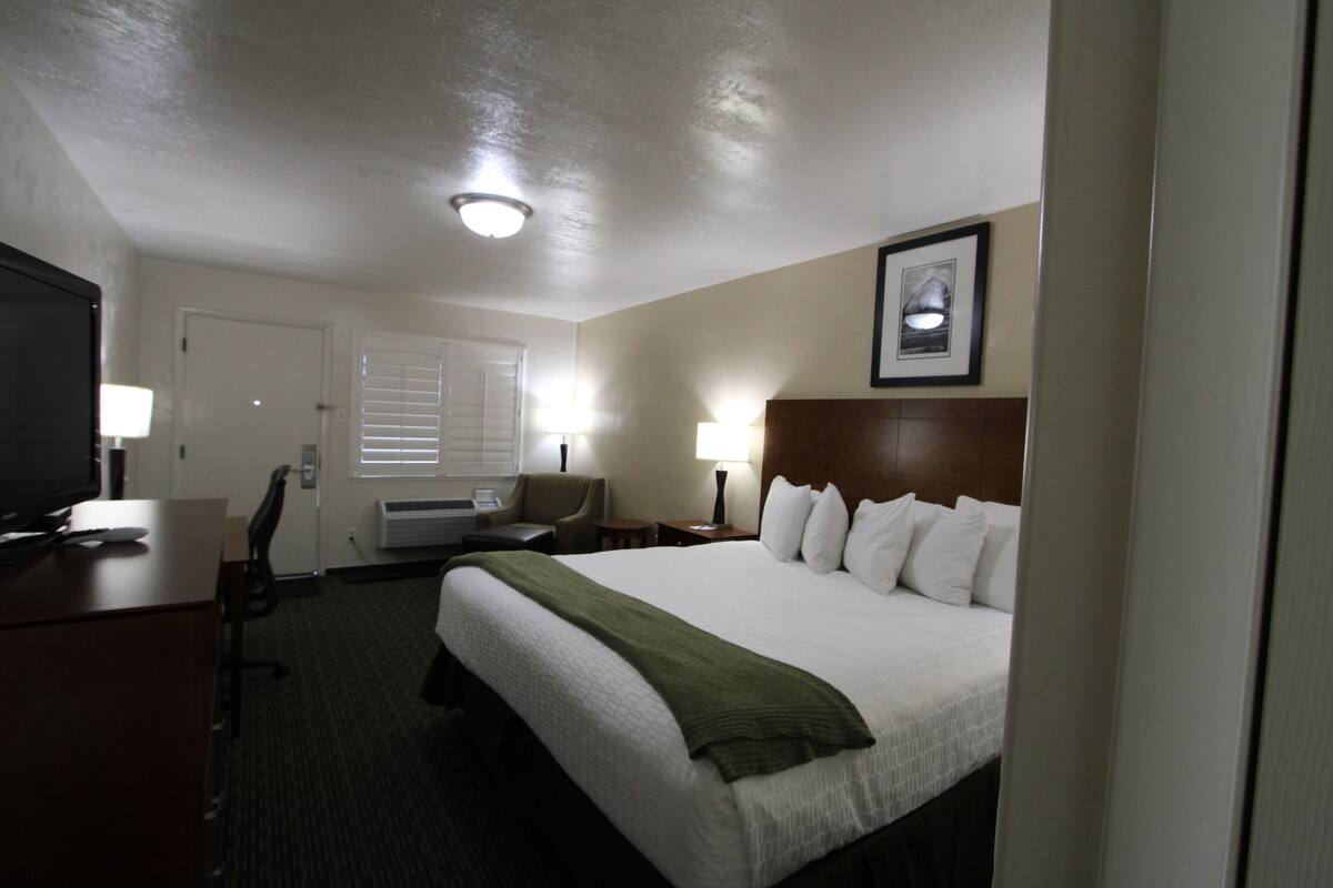 A hotel room with a bed, desk, chair, TV, and lamps.
