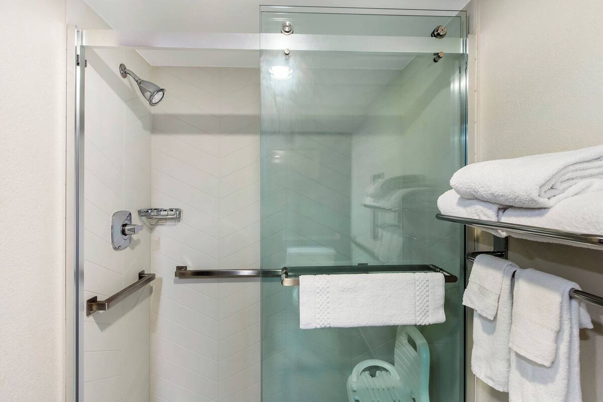 combined shower/bathtub, free toiletries, hair dryer, towels
