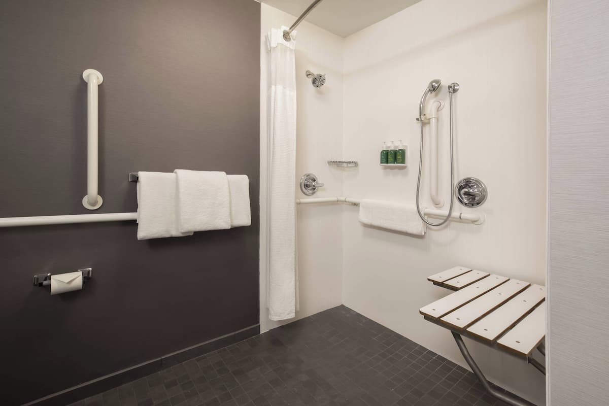 combined shower/bathtub, eco-friendly toiletries, hair dryer, towels