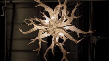 A chandelier with a complex, branching design.